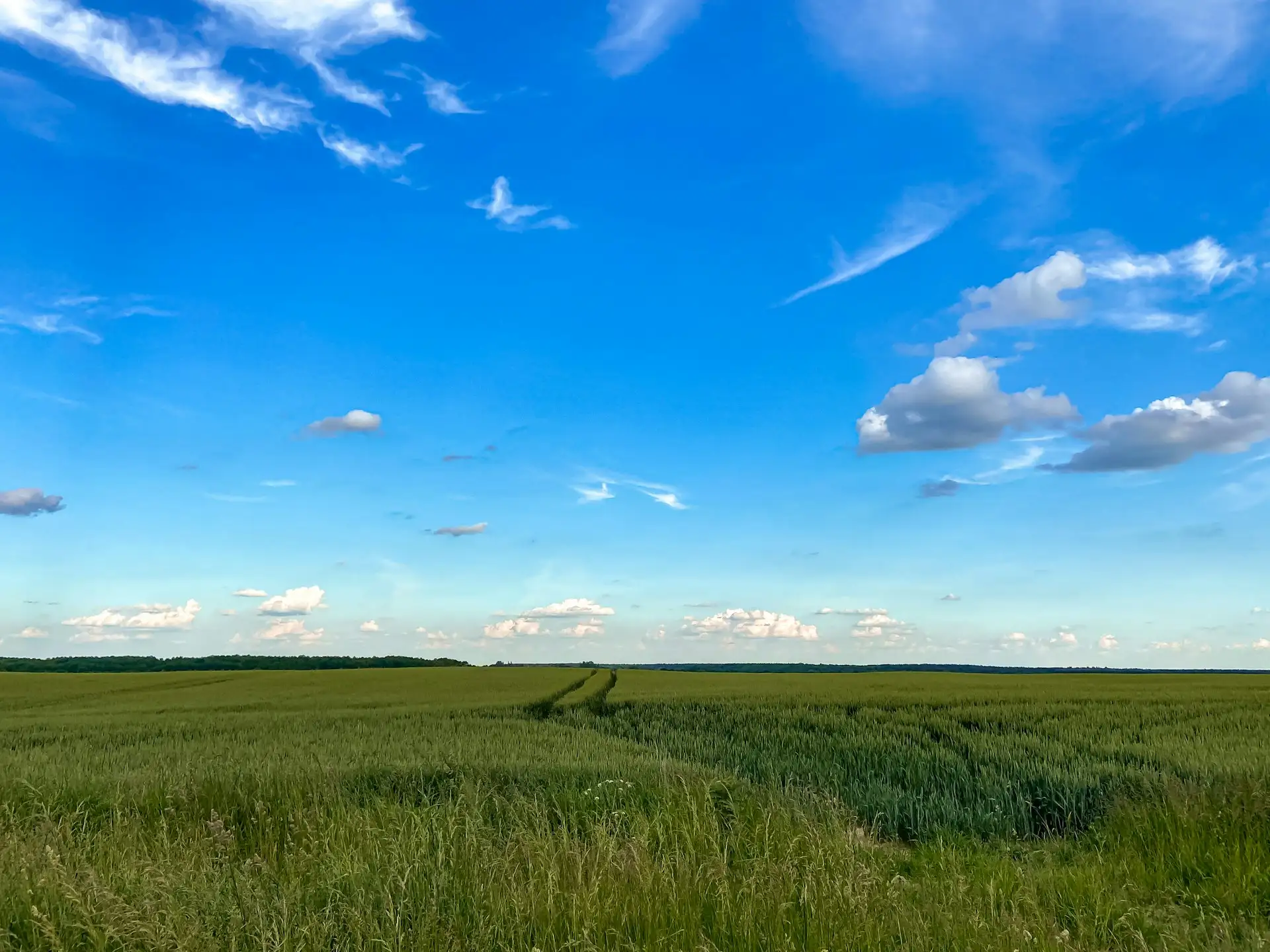 Vista de terreno